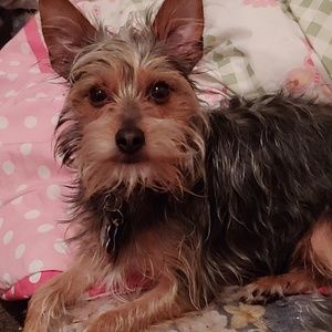 Meet your Posher, Hannah